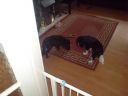 DSC00091.JPG