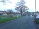 DSC00310.JPG