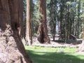 Visalia-Yosemite-Sonora.jpg