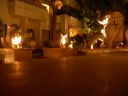 DSCN0534.JPG