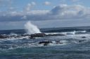 DSC01667.JPG