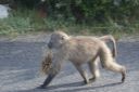 DSC01680.JPG