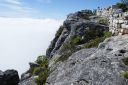 DSC01707.JPG