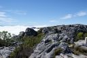 DSC01711.JPG