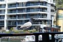 DSC01733.JPG