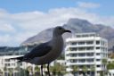 DSC01740.JPG