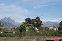 DSC01820.JPG