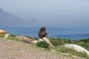 DSC01856.JPG