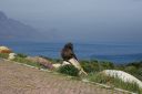 DSC01857.JPG