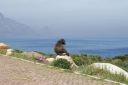 DSC01858.JPG
