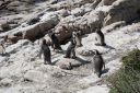 DSC01877.JPG