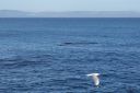 DSC01919.JPG