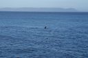 DSC01924.JPG