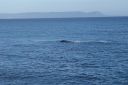 DSC01928.JPG
