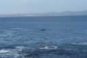 DSC01931.JPG