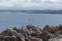 DSC01937.JPG