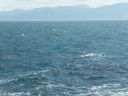 SDC10865.JPG