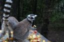 DSC02117.JPG