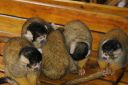 DSC02126.JPG