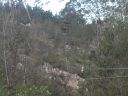 SDC11003.JPG