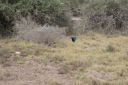 DSC02258.JPG