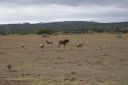DSC02260.JPG