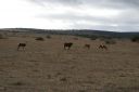 DSC02263.JPG
