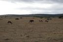 DSC02264.JPG