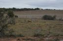 DSC02281.JPG
