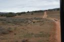 DSC02287.JPG