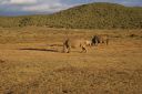 DSC02312.JPG