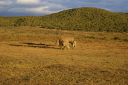 DSC02313.JPG
