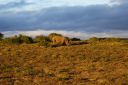 DSC02316.JPG
