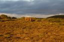 DSC02318.JPG