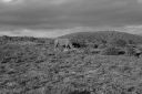 DSC02321.JPG