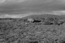 DSC02323.JPG