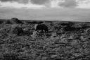 DSC02326.JPG