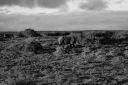 DSC02327.JPG