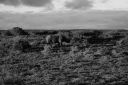 DSC02328.JPG