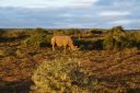DSC02334.JPG