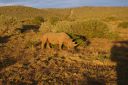 DSC02336.JPG