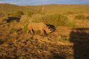 DSC02337.JPG