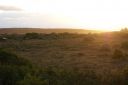 DSC02340.JPG