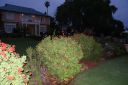 DSC02366.JPG