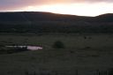 DSC02367.JPG