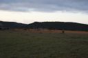 DSC02370.JPG