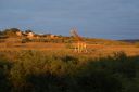 DSC02373.JPG