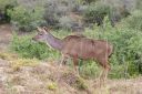 DSC02395.JPG