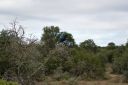DSC02397.JPG