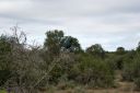 DSC02398.JPG